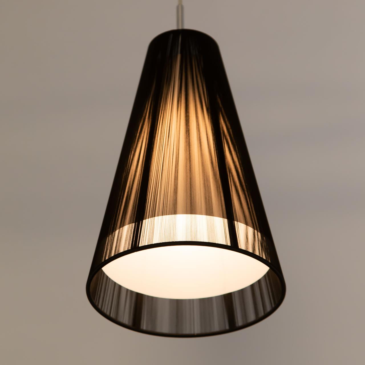 Подвесной светильник Citilux Черный CL936008