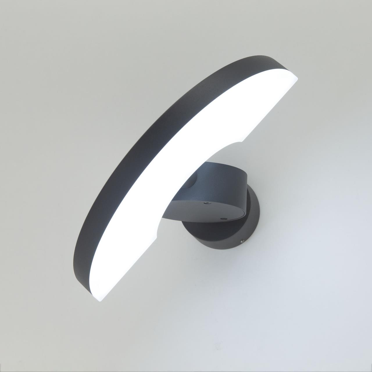 Уличный настенный светодиодный светильник Citilux CLU03W