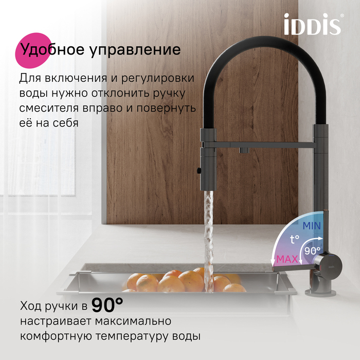 Смеситель для кухни с фильтром и гибким изливом, графит, Эйс (Ace), IDDIS, ACEGMFFi05