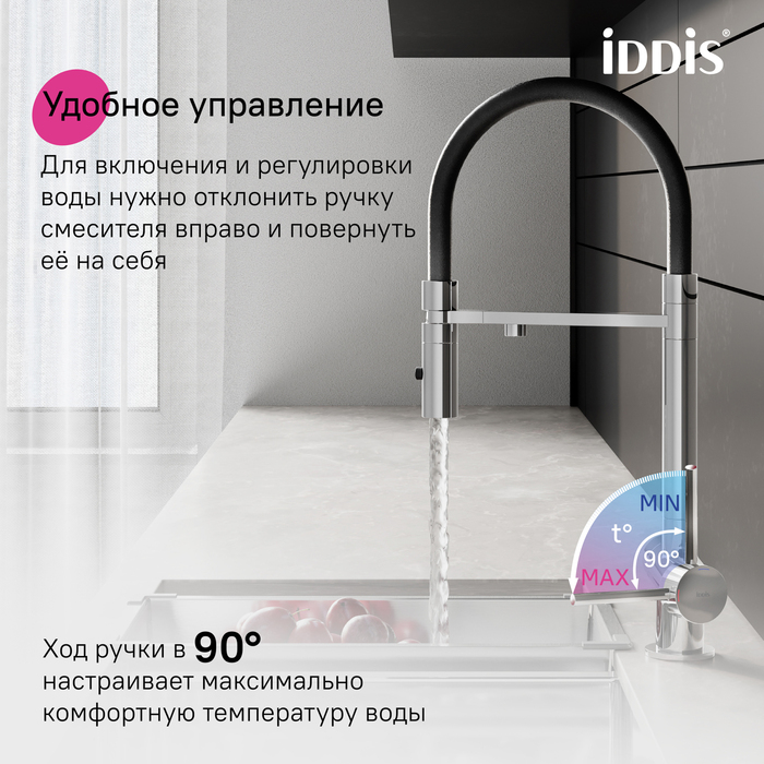 Смеситель для кухни с фильтром и гибким изливом, хром, Эйс (Ace), IDDIS, ACESBFFi05