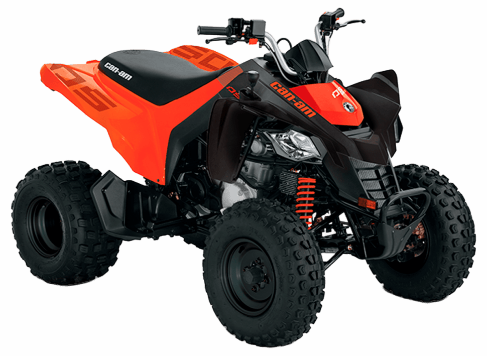 BRP CanAm DS 250