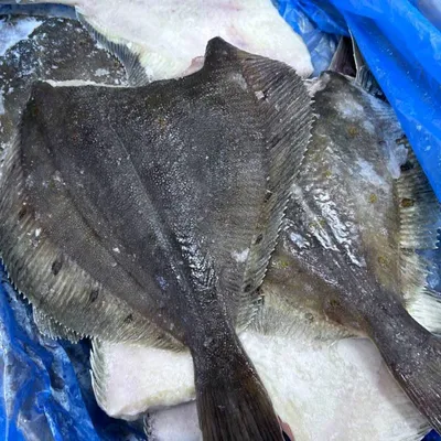 Камбала с/м потрошёная без головы, 0,3 - 1,0 кг