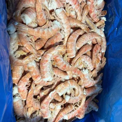 Креветка аргентинская без головы С1 (30/55)