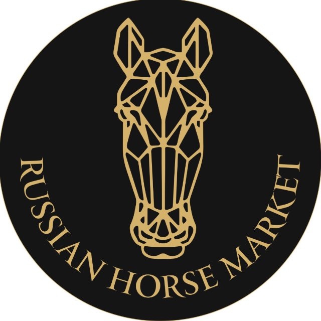 RUSSIAN HORSE MARKET | РОССИЙСКИЙ КОННЫЙ РЫНОК