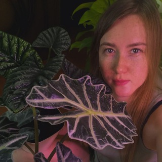 plants_purr