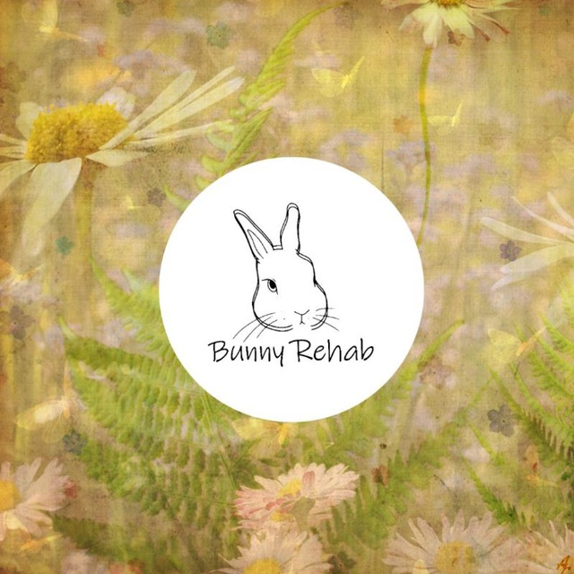 🐇💜Bunny_rehab💜🐇
