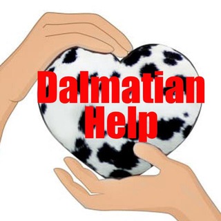 Помощь далматинам | Dalmatian Help
