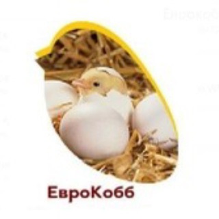 ЕuroCobb-PROMEGGS INFO CANAL