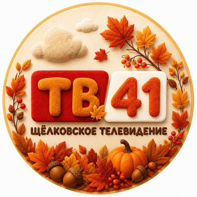 TВ41 | Щёлковское телевидение