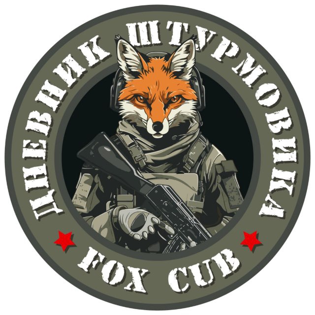 Дневник штурмовика