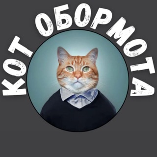 Кот обормота 🇷🇺