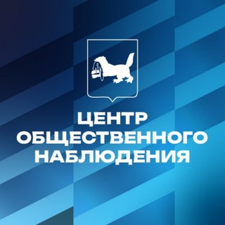 Центр общественного наблюдения за выборами