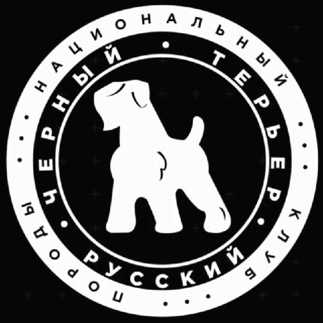 ЧЁРНАЯ МОЛНИЯ ⚡️
