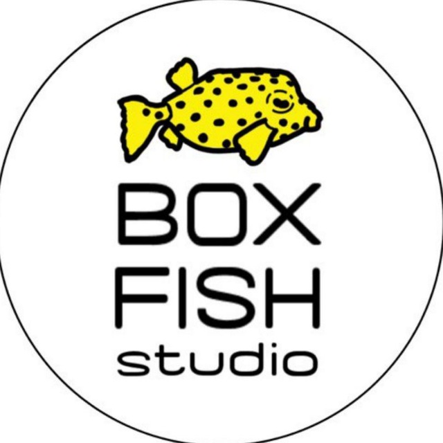 BOXFISH studio