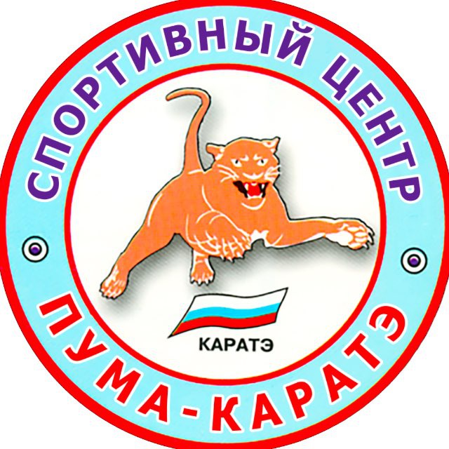 Пума-Каратэ/Shevchenkoteam