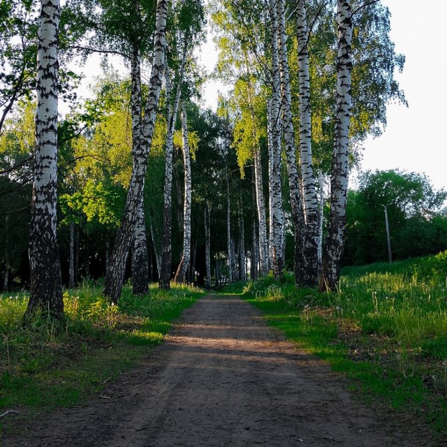 Фото соловьиного края📸