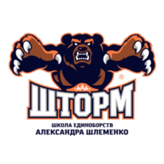 Школа единобоств Александра Шлеменко «Шторм»
