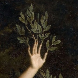 æsthetics echo