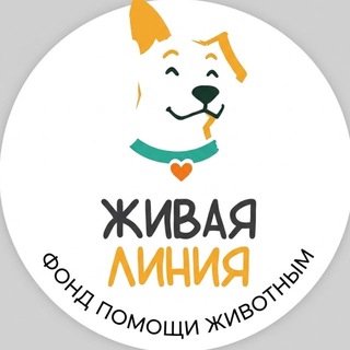 Михаил Савицкий | 𝙈𝙞𝙠𝙝𝙖𝙞𝙡 𝙎𝙖𝙫𝙞𝙩𝙨𝙠𝙮