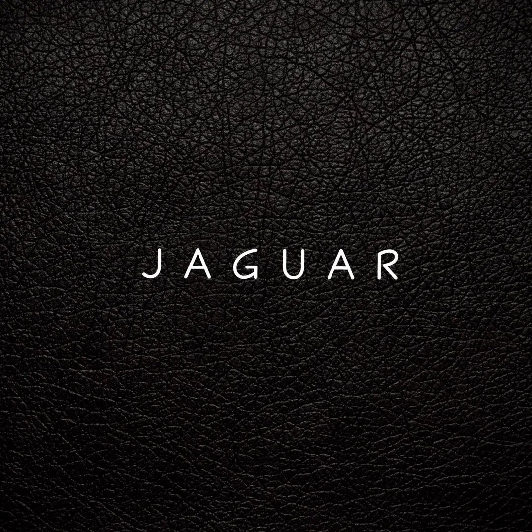 J A G U A R