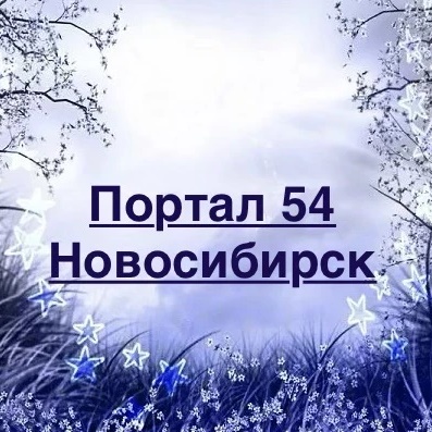 Портал 54 — Новости Новосибирска