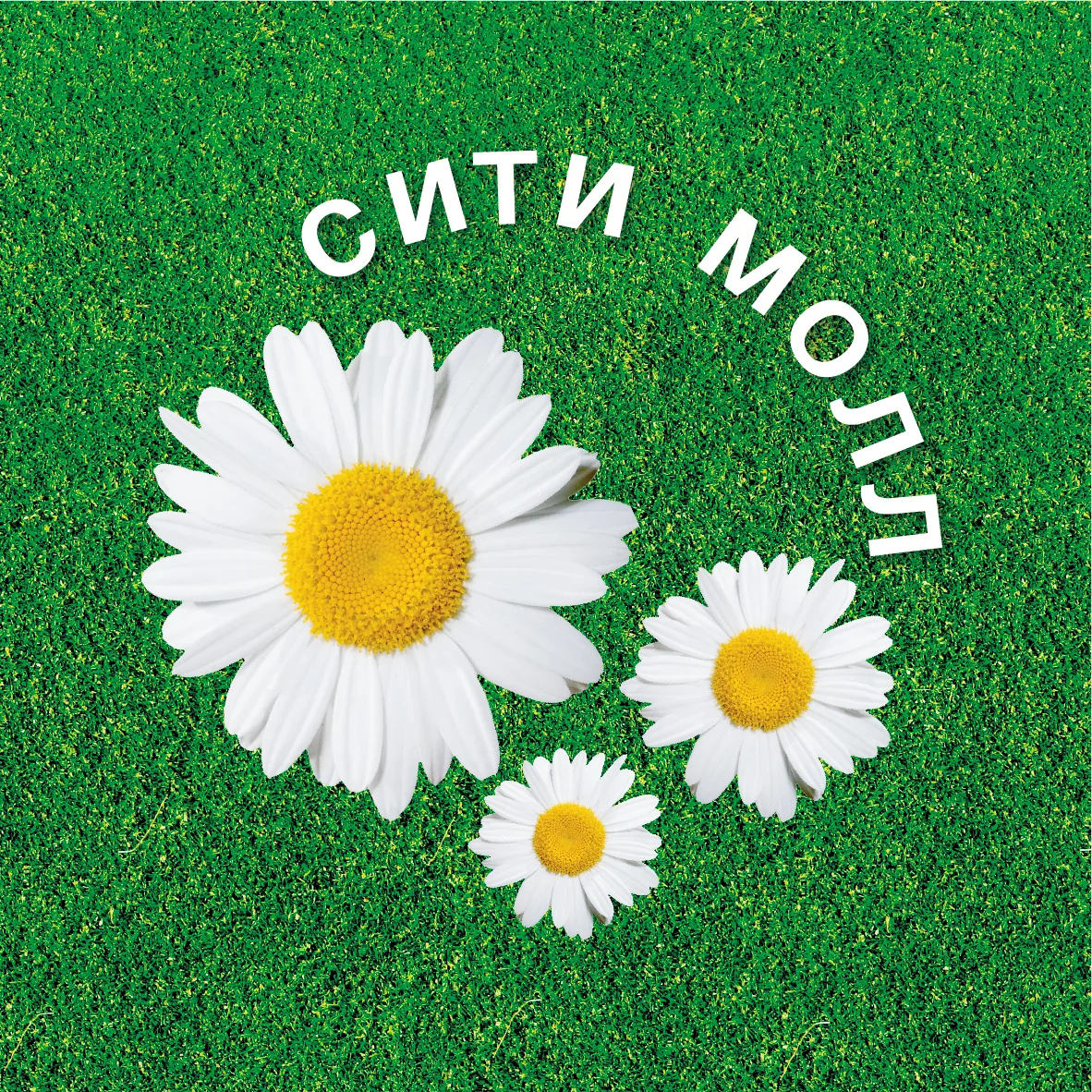 Сити Молл Белгородский
