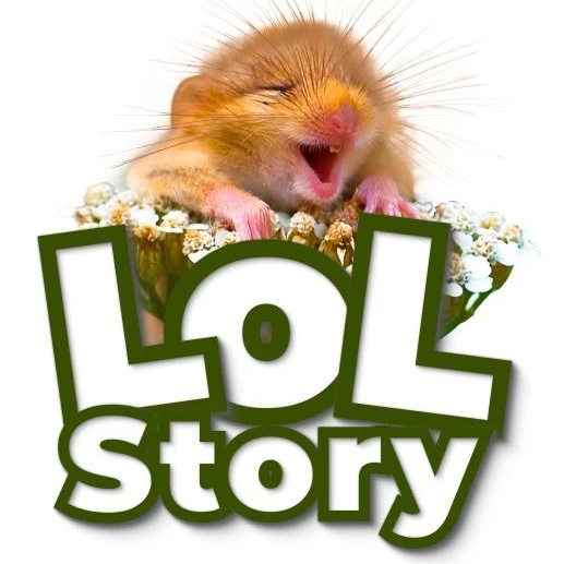 LOL.Story | Смешные истории из реальной жизни