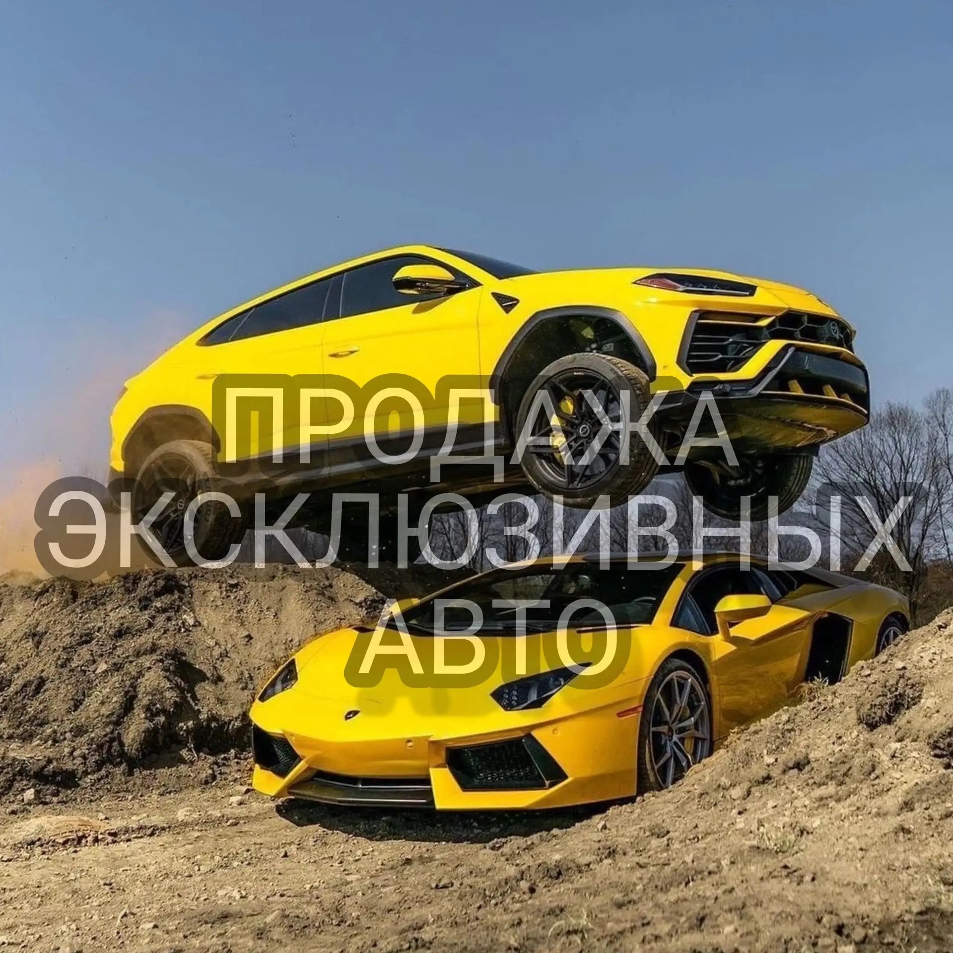 Тачки для эмоций | PREMIUM CAR