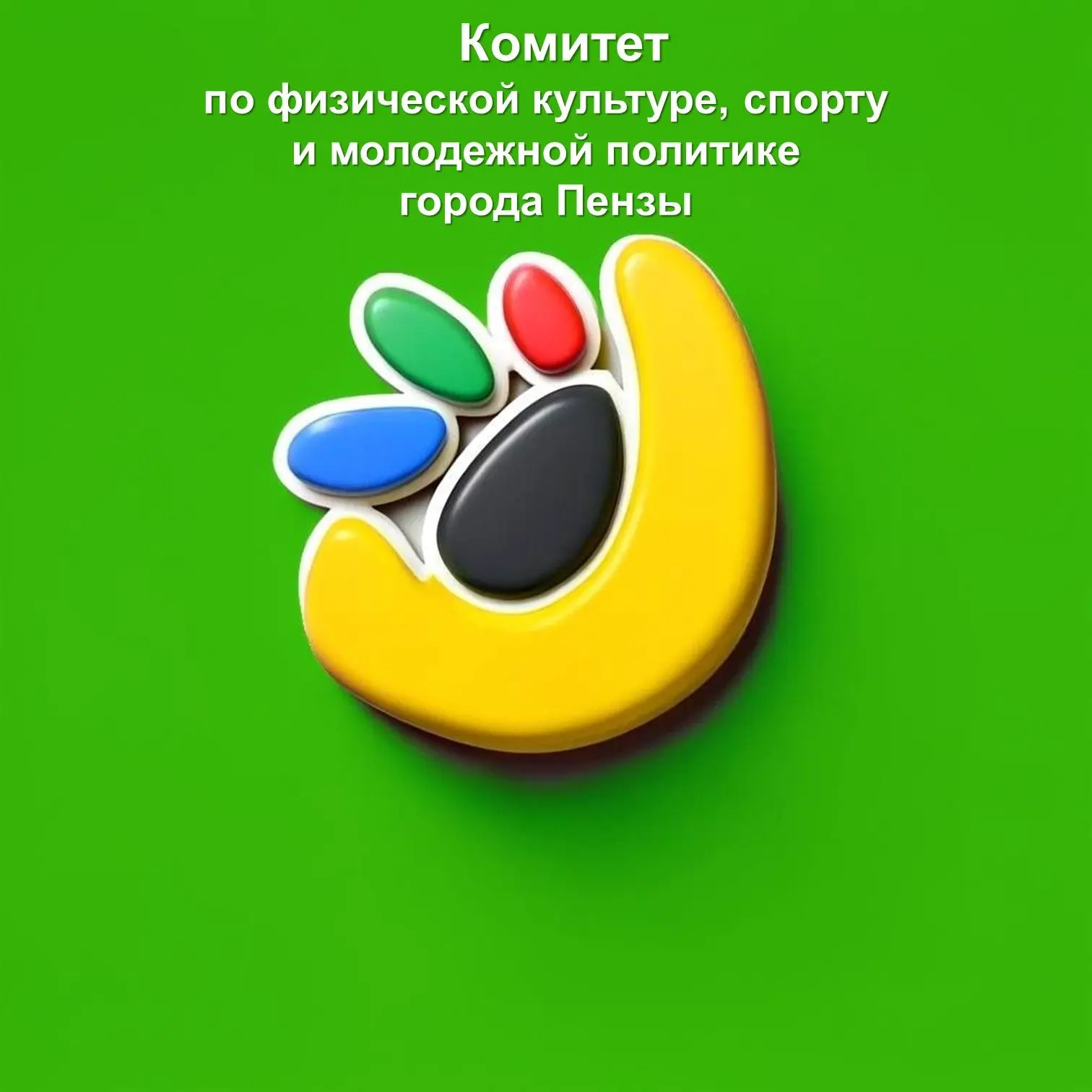 Комитет по физической культуре, спорту и молодежной политике г. Пензы
