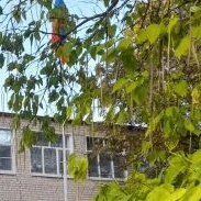 МКОУ СОШ №17 с.Лесная Дача