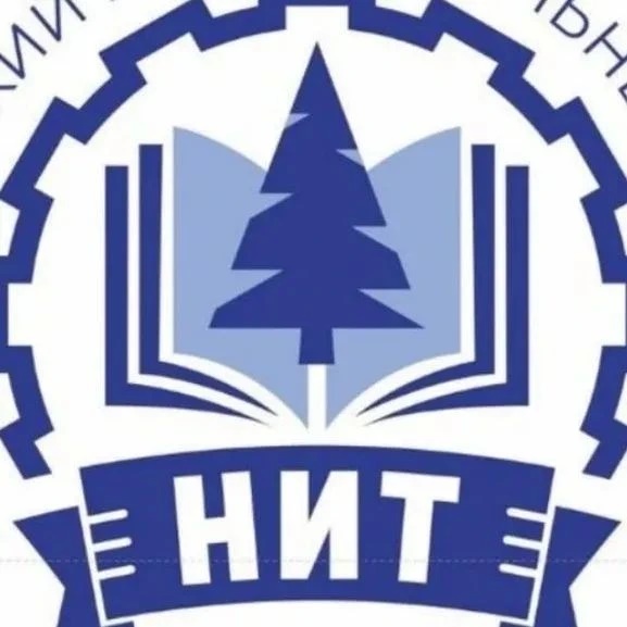 Новодвинский индустриальный техникум