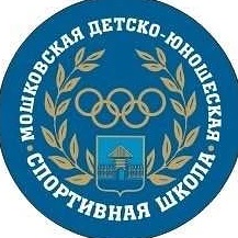 МАОУ ДО "Мошковская ДЮСШ"