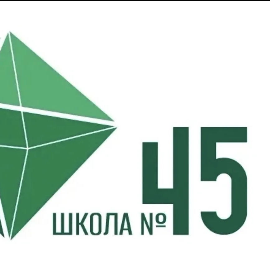 Общешкольный родительский чат БМАОУ СОШ №45 (Свердловская область)