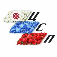 ГБУ Республики Марий Эл "ЦСП"