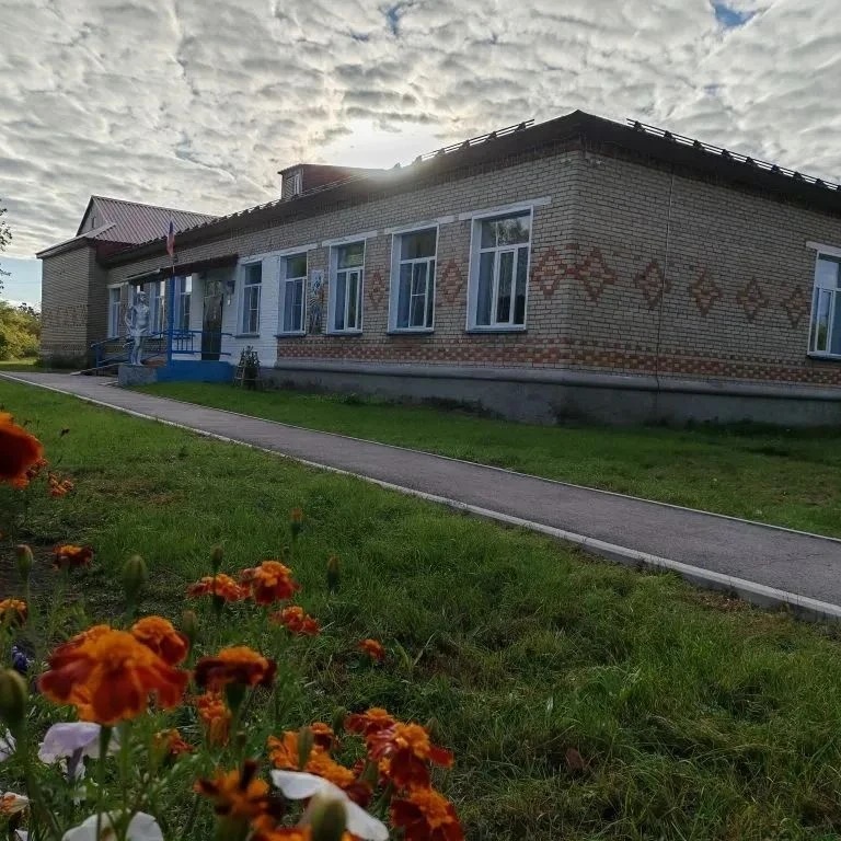 МБОУ Михайловская СОШ Карасукского МО