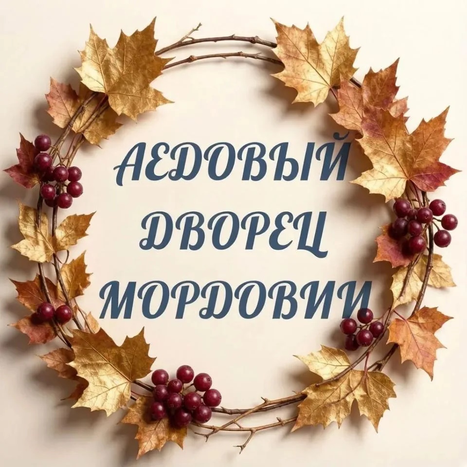 Ледовый дворец Мордовии