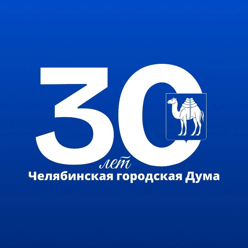 Челябинская городская Дума