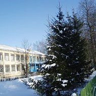 МОУ "Пустотинская СШ им. П.А. Галкина"