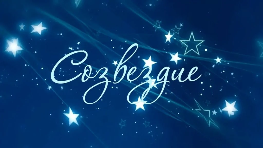 Центр "Созвездие" Шатура