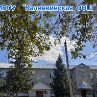 МБОУ "Калинкинская ООШ"