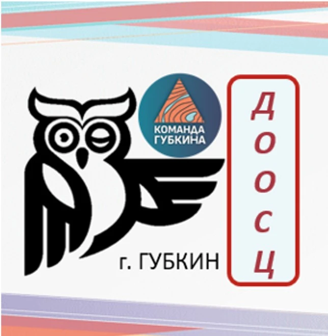 Детский спортивный центр (ДООСЦ)
