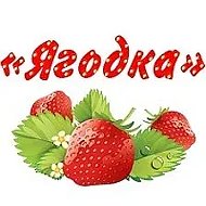 МДОУ №8 "Ягодка"