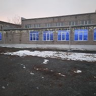 Лисьевская школа