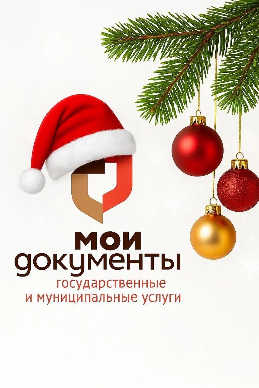 МФЦ Пензенской области