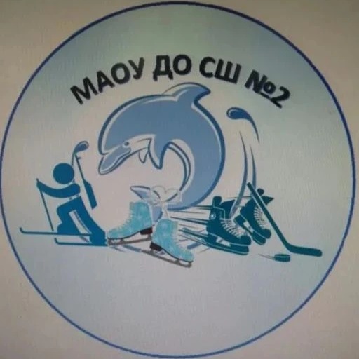 МАОУ ДО СШ №2 города Асино Томской области