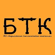 АО "Борисовская теплосетевая компания"