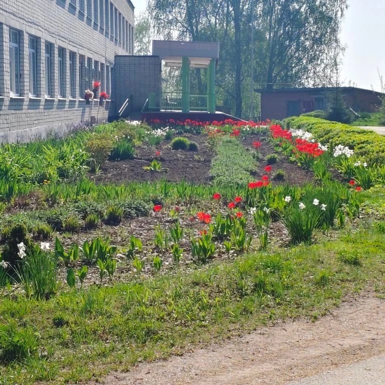 МБОУ Борщовская СОШ
