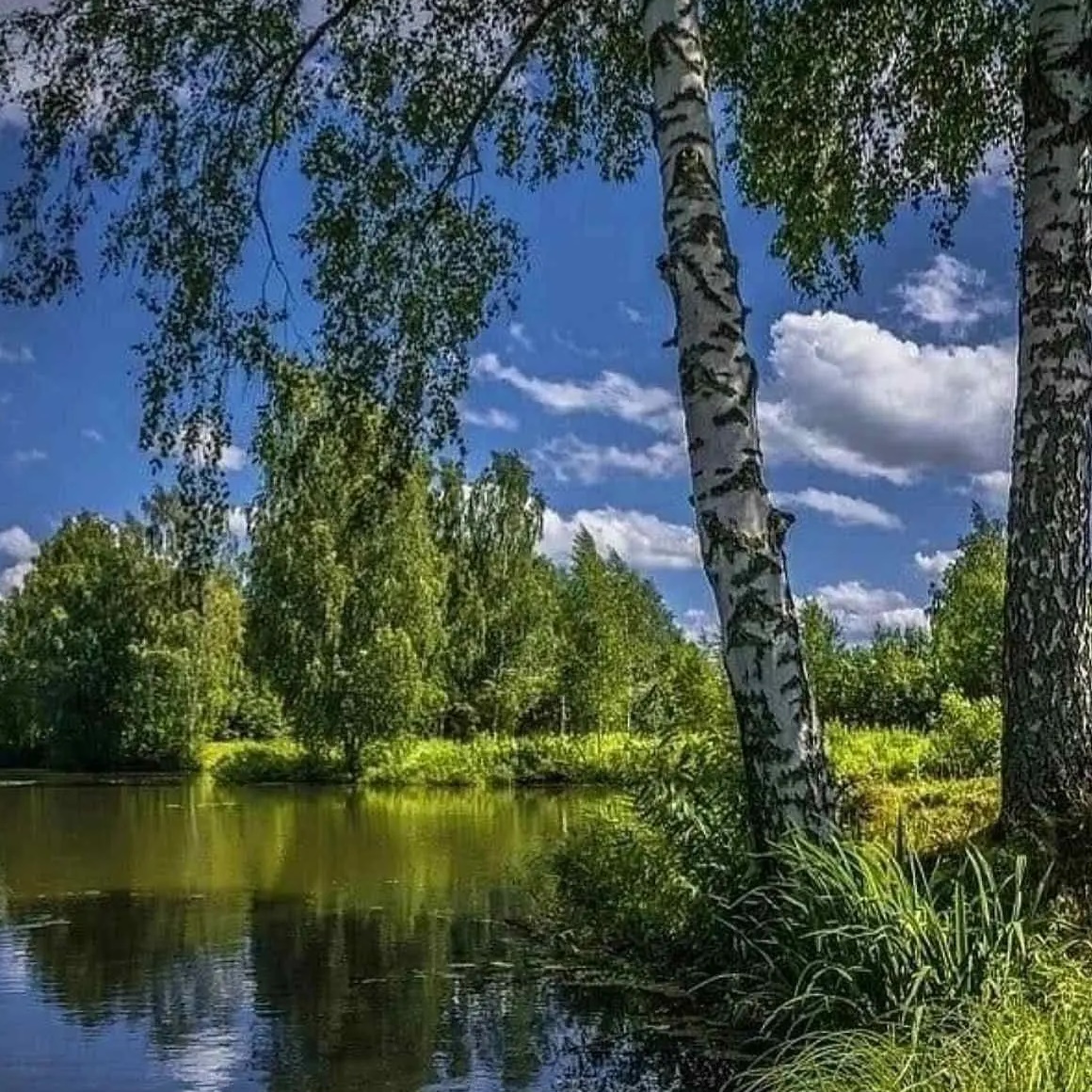 МО Никольский сельсовет