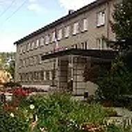ГОУ ТО «Донская школа 1»