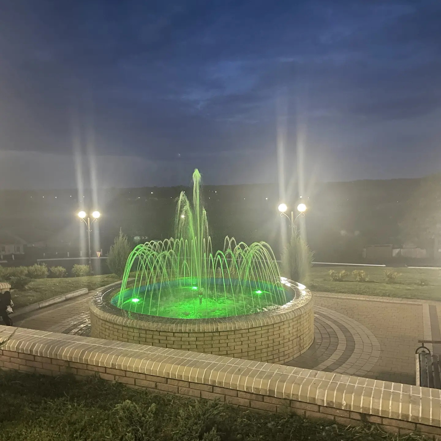 СелоВишнево
